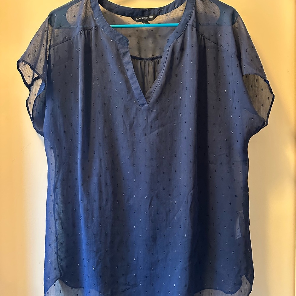 Banana Republic Navy Sheer Blouse